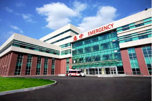 萬科首進(jìn)沈北對(duì)外亮相 雷明鋼管廠項(xiàng)目奠基 定名萬科 北宸之光